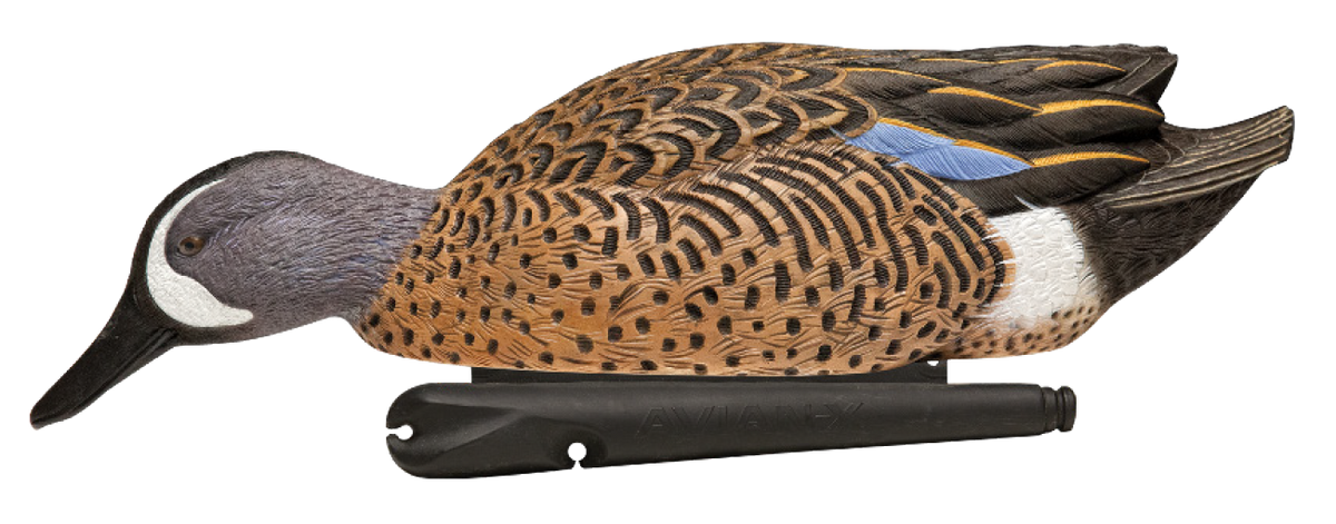 Avian X Topflight Blue-Winged Teal 10" Floating Duck Decoys 6-Pack — view 3