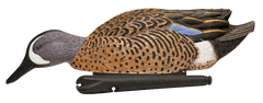 Avian X Topflight Blue-Winged Teal 10" Floating Duck Decoys 6-Pack — view 3