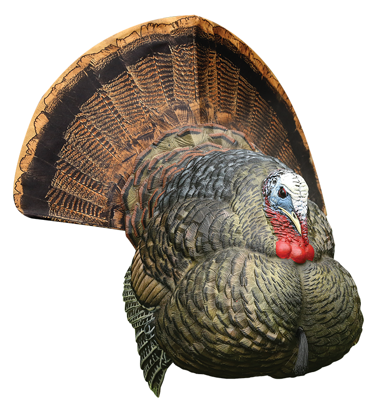 Avian X LCD Strutter Turkey Decoy Multi-Color Dura-Rubber — view 3