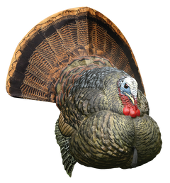 Avian X LCD Strutter Turkey Decoy Multi-Color Dura-Rubber — view 3