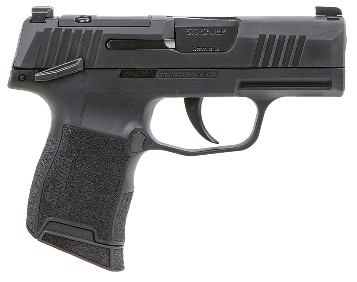Sig Sauer P365 BXR Micro-Compact 9mm Luger 3.10" 10+1 Striker-Fired Pistol - XRAY3 Day/Night Sights — view 3