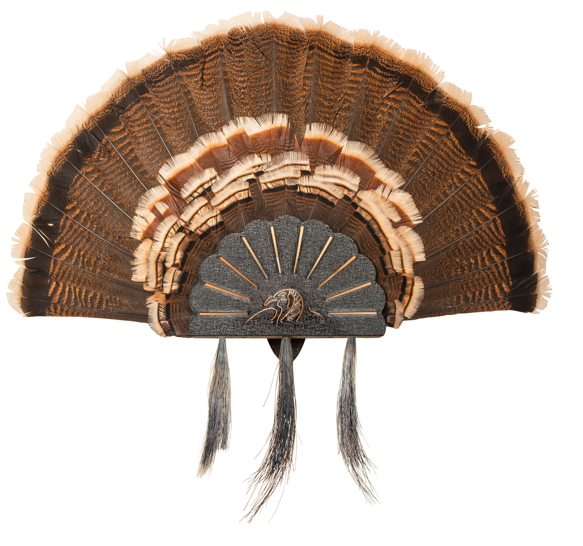 Skull Hooker Turkey Hooker Black Steel Wall Display — view 3