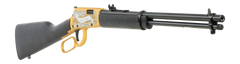 Rossi Rio Bravo 22 LR 18" 15+1 Gold Cerakote Lever Action Rifle — view 3