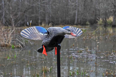 Mojo Outdoors HW24713P Elite Series Mini Hen Mallard Motion Decoy w/ Remote - Multi-Color Plastic — view 3