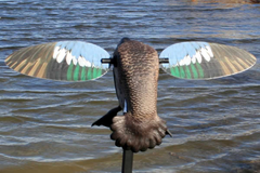 Mojo Outdoors Elite Series Blue Wing Teal Spinning Wing Duck Motion Decoy - Multi-Color Plastic — view 3
