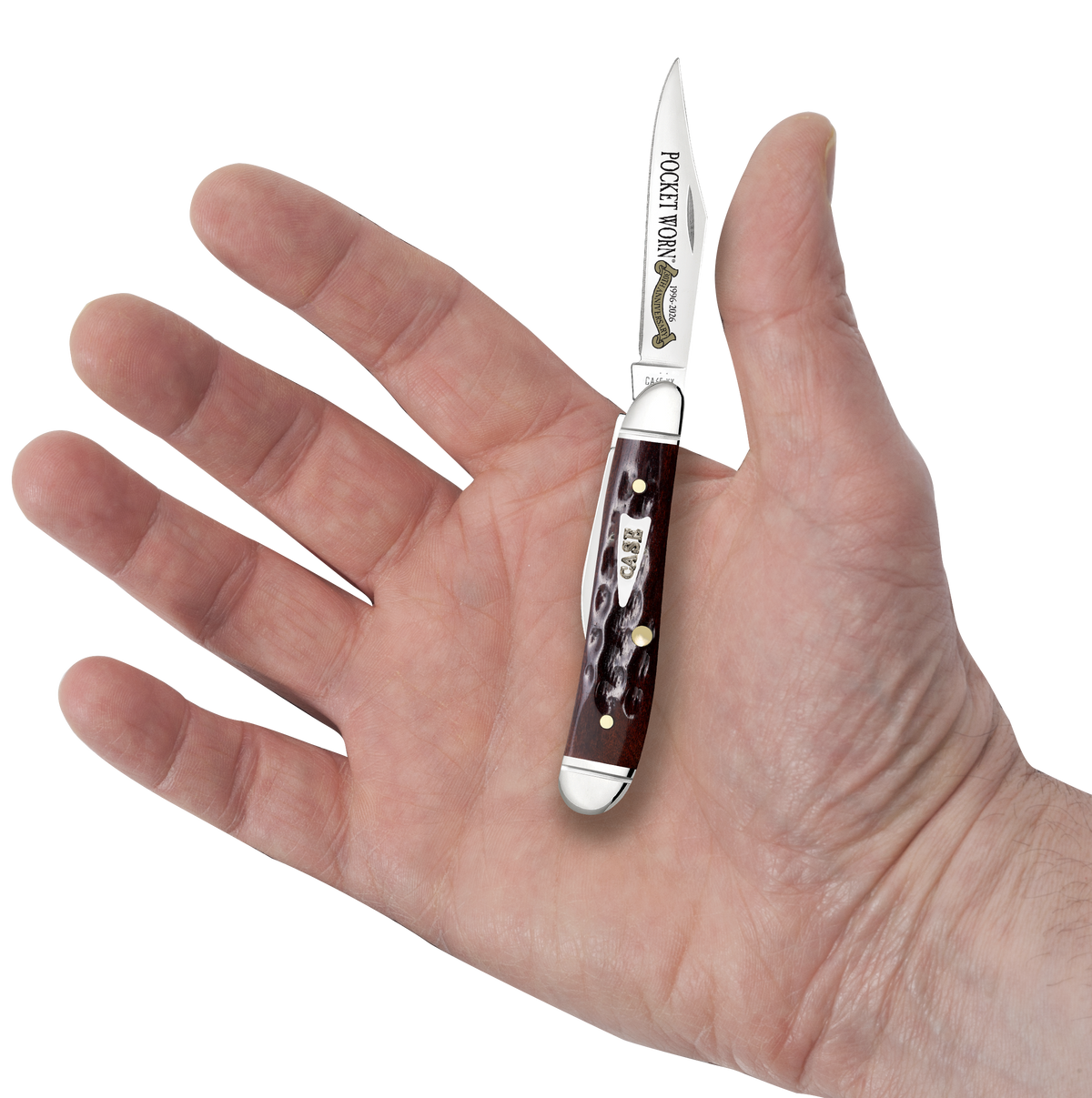 Case Pocket Worn Peanut 2.26"/1.50" Clip Point/Pen Plain Tru-Sharp SS Blade - Mahogany Corn Cob Jigged Bone Handle — view 3