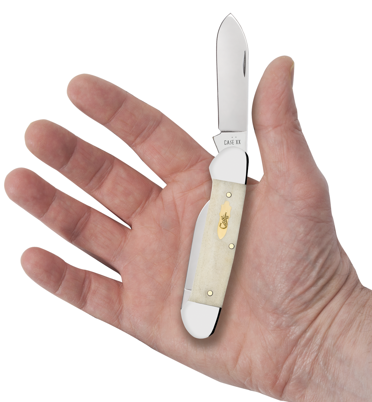 Case Canoe 11023 3.63" Folding Pocket Knife 2-Blade Pen/Spear Plain Edge Smooth Natural Bone — view 3