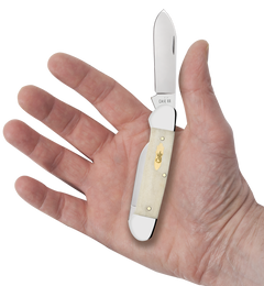 Case Canoe 11023 3.63" Folding Pocket Knife 2-Blade Pen/Spear Plain Edge Smooth Natural Bone — view 3