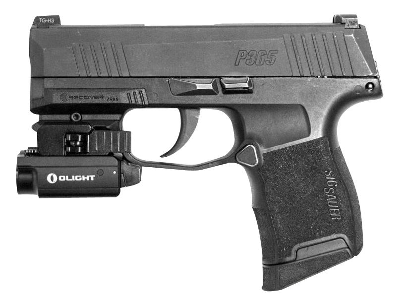 Recover Innovations ZR6501 Picatinny Over Rail Adapter for Sig Sauer P365/P365XL - Black Polymer — view 3