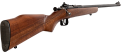 Chipmunk 00001 Youth 22 LR 16.13" Single-Shot Bolt Action Rifle — view 3