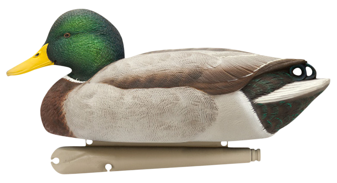 Avian X Topflight Blue-Winged Teal 10" Floating Duck Decoys 6-Pack — view 4