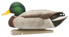 Avian X Topflight Blue-Winged Teal 10" Floating Duck Decoys 6-Pack — view 4