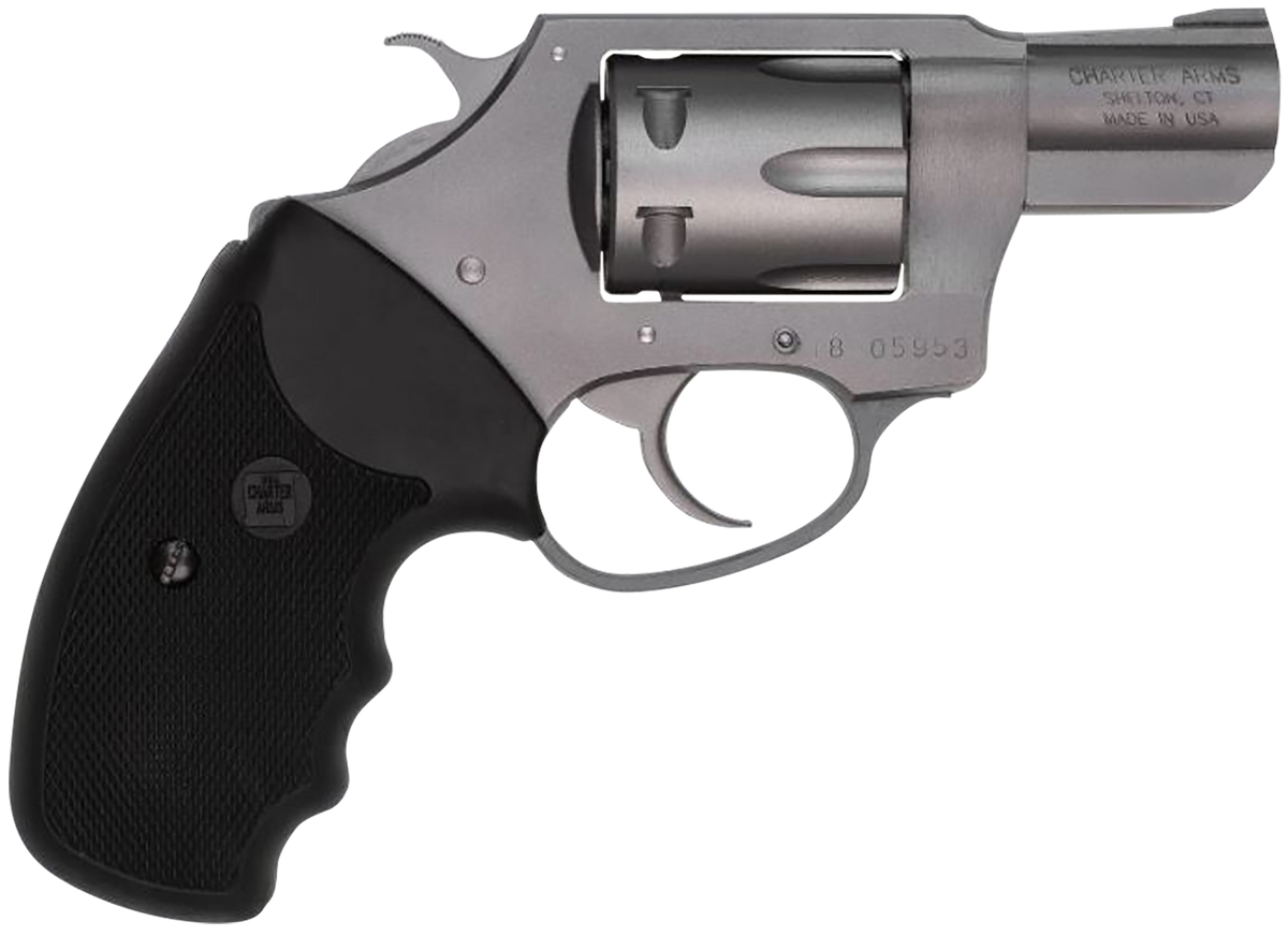 Charter Arms Pathfinder .22 LR 2" 8-Shot DA/SA Revolver - Stainless