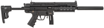 GSG GSG-16 - *CA Compliant 22 LR 16.25" 10+1 Semi-Auto Rifle