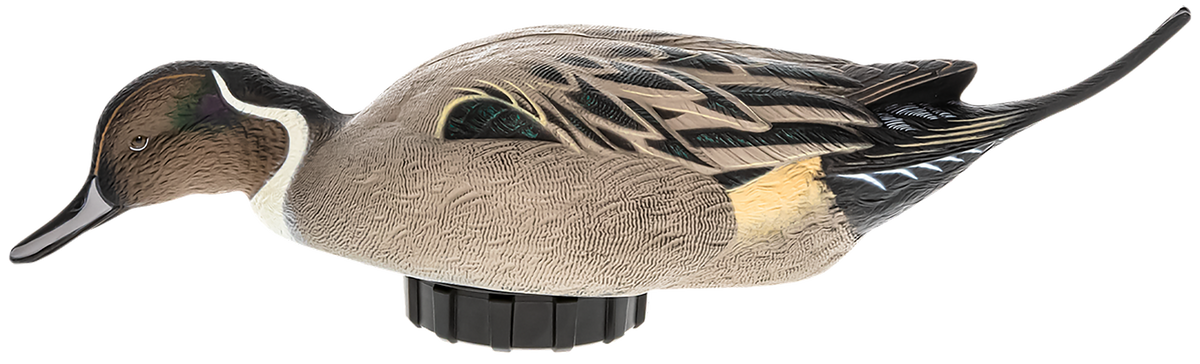 Avian X Power Shaker Pintail Surface Feeder Duck Decoy Multi-Color