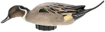 Avian X Power Shaker Pintail Surface Feeder Duck Decoy Multi-Color