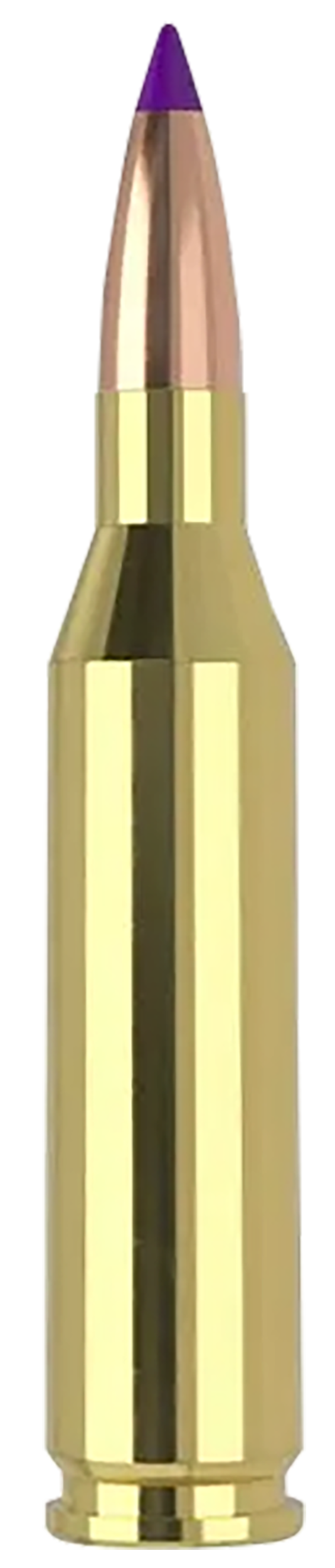 Nosler Ballistic Tip Varmint 243 Win 70gr Polymer Tip - Box or Case