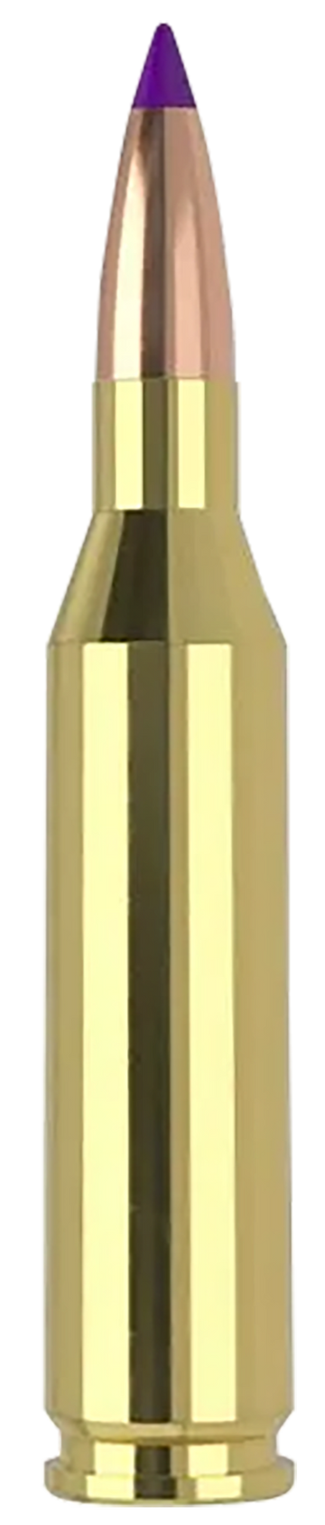 Nosler Ballistic Tip Varmint 243 Win 70gr Polymer Tip - Box or Case