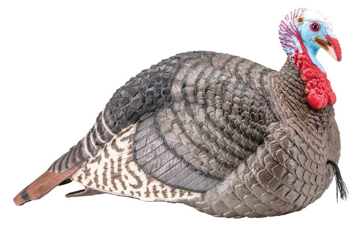 HS Strut Strut-Lite Jake Turkey Decoy Multi-Color Synthetic