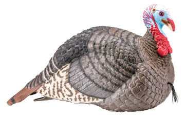 HS Strut Strut-Lite Jake Turkey Decoy Multi-Color Synthetic