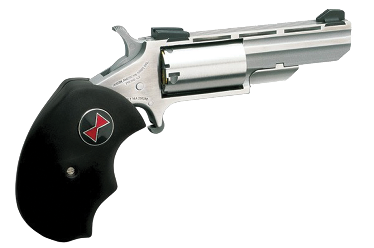 NAA BWM Black Widow 22 WMR 2" 5-Shot SAO Stainless Mini-Revolver