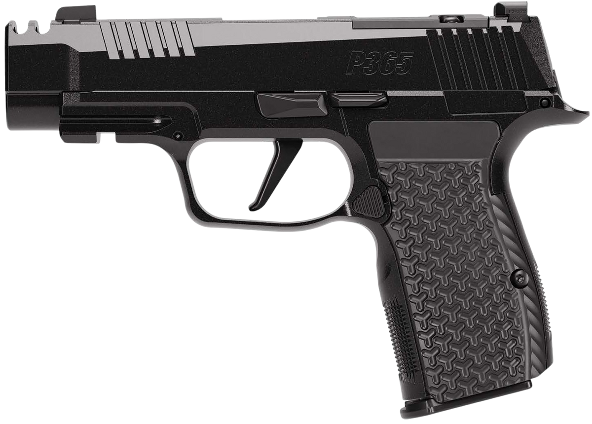 Sig Sauer P365 AXG LUXE 380 ACP 3.1" 12+1 Pistol