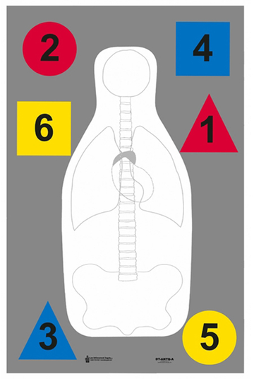 Action Target DTANTQA100 Training Multi-Purpose Silhouette Paper Hanging Target 23" x 35" 100/Box