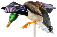 Avian X PowerFlight Mallard Spinning Wing Duck Decoy Multi-Color Dual Mode Remote