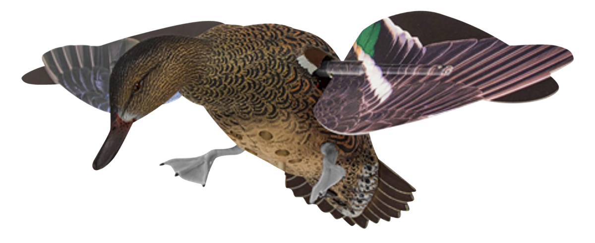 Avian X PowerFlight Hen Green-Winged Teal Spinning Wing Decoy
