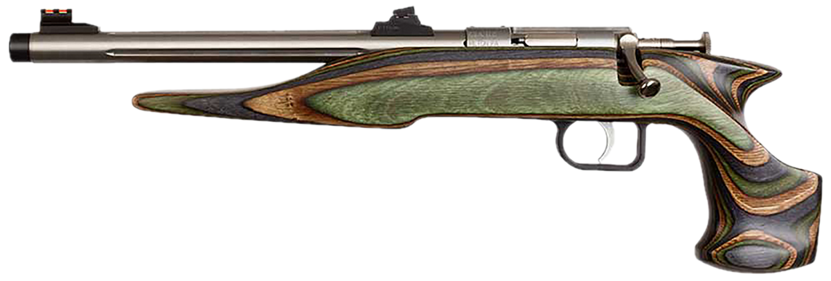 Chipmunk 41105 Hunter Adult 22 Mag 9" Single-Shot Bolt Action Pistol - Threaded Stainless Barrel, Camo Laminate Stock