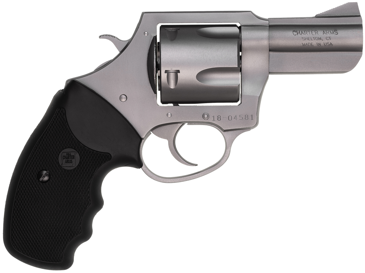 Charter Arms Bulldog XL 45 Colt 2.5" 5-Shot DA/SA Revolver - Matte Stainless