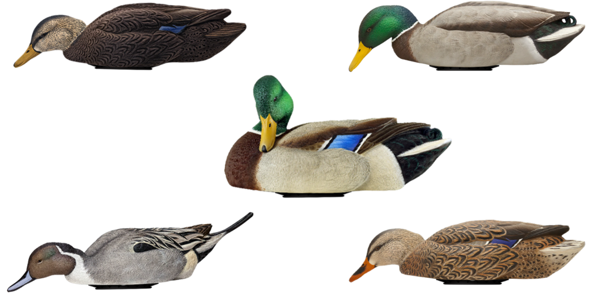 Avian X Power Swimmer Mallard Drake Multi-Color Motion Duck Decoy w/Li-ion Battery & Remote