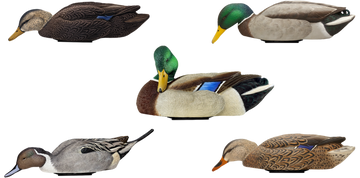 Avian X Power Swimmer Mallard Drake Multi-Color Motion Duck Decoy w/Li-ion Battery & Remote