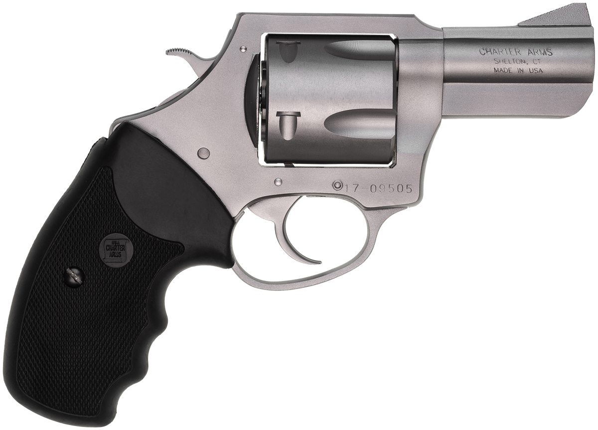 Charter Arms Pitbull 45 ACP 2.5" 5-Rd DA/SA Revolver - Matte Stainless