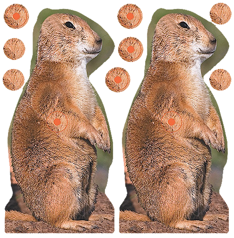Birchwood Casey Shoot-N-C Reactive 8" Brown Prairie Chuck Target 12 Pack
