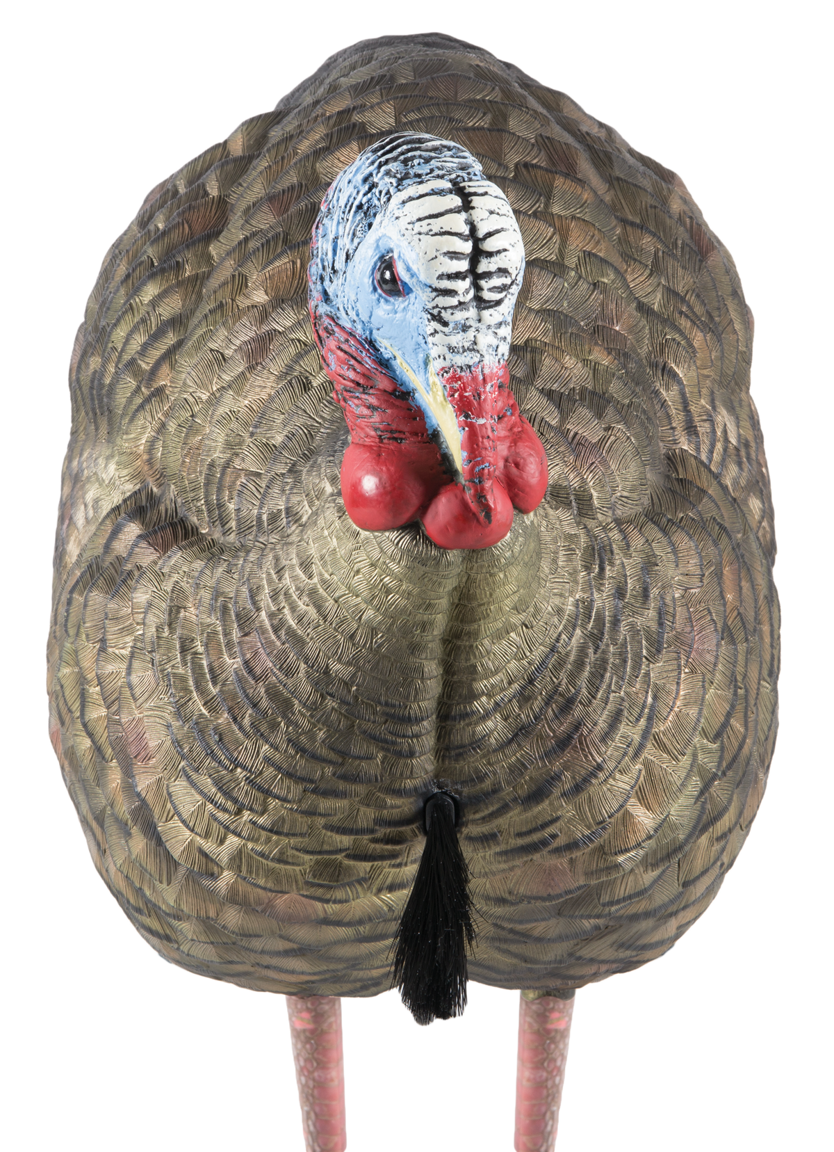Avian X LCD Half-Strut Jake Turkey Decoy - Dura-Rubber - Multi-Color