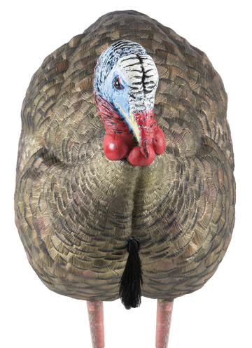 Avian X LCD Half-Strut Jake Turkey Decoy - Dura-Rubber - Multi-Color