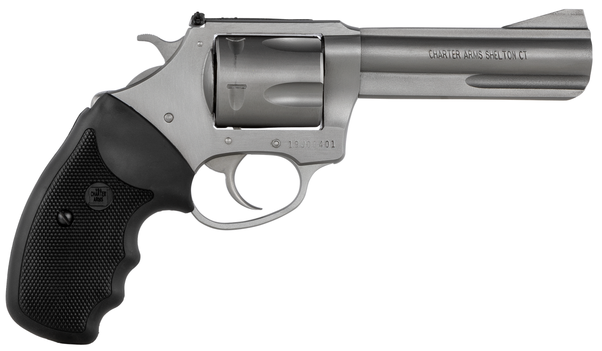 Charter Arms Pitbull .40 S&W 4.20" 5-Shot DA/SA Stainless Revolver