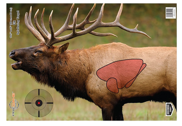 Birchwood Casey Pregame Elk Paper Target 16.5" x 24" 3-Pack Hanging
