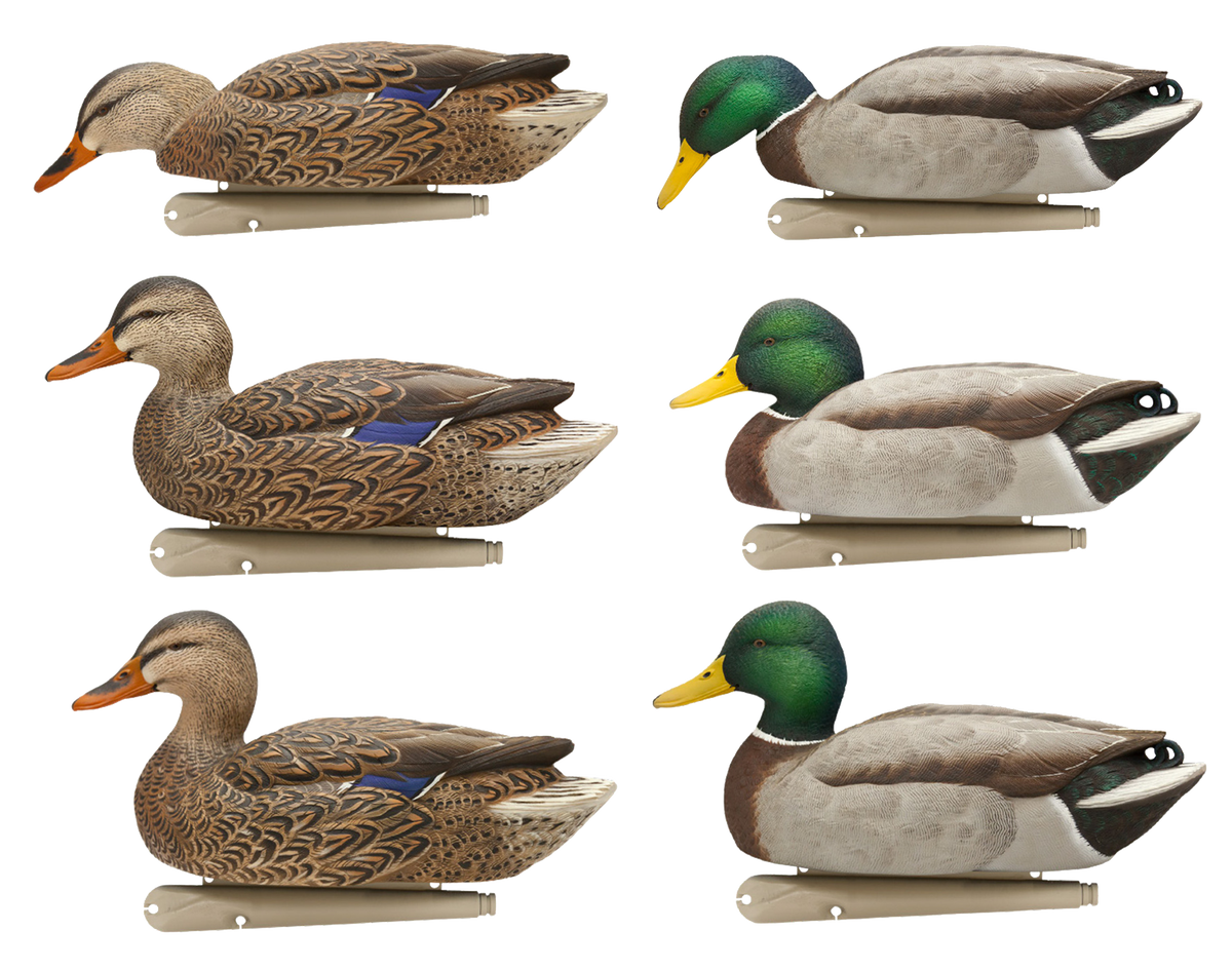 Avian X Topflight Fusion Mallards Floating Duck Decoy 6-Pack - Multi-Color