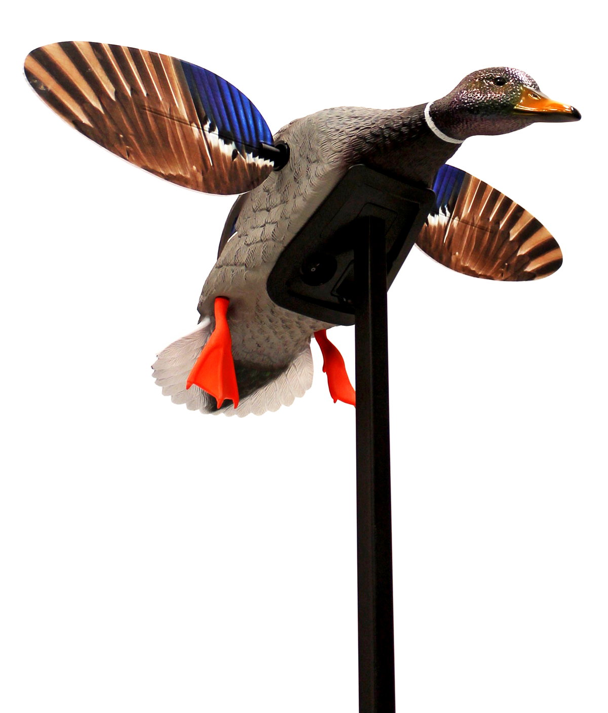 Mojo Elite Series Mini Mallard Drake Motion Decoy - Multi-Color Plastic