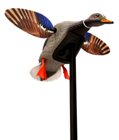 Mojo Elite Series Mini Mallard Drake Motion Decoy - Multi-Color Plastic