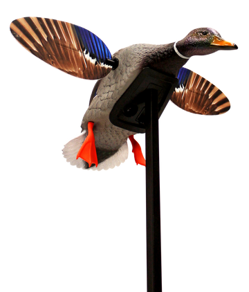 Mojo Elite Series Mini Mallard Drake Motion Decoy - Multi-Color Plastic