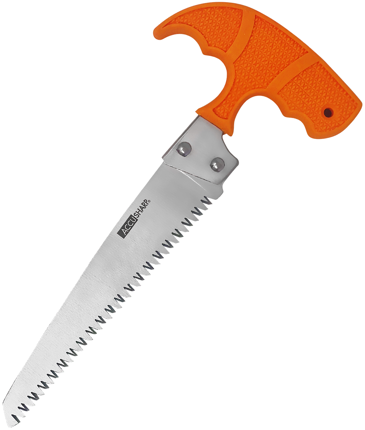 Accusharp 730C Bone Saw Fixed 6" Serrated 420 Stainless Steel Blaze Orange Handle