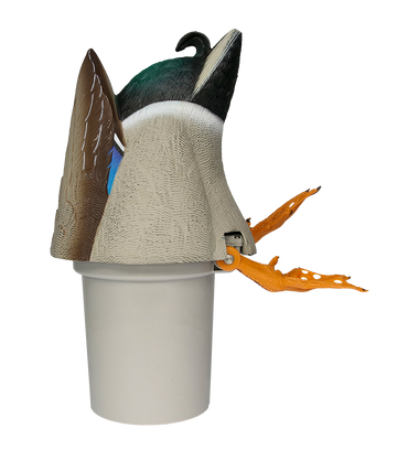 Avian X Power Butt Kicker Mallard Drake 2-Pack Motion Duck Decoy