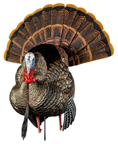 Avian X HDR Strutter Turkey Decoy - Multi-Color