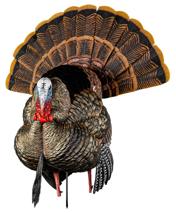 Avian X HDR Strutter Turkey Decoy - Multi-Color