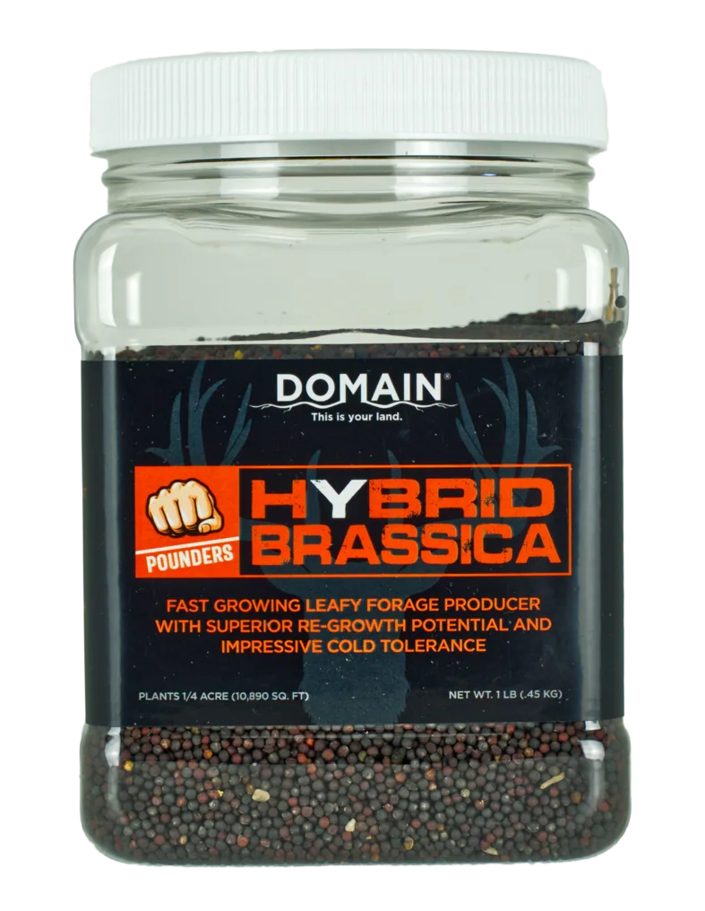 Domain Outdoor Pounder Hybrid Brassica 1 lb Food Plot Seed - 1/4 Acre