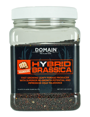 Domain Outdoor Pounder Hybrid Brassica 1 lb Food Plot Seed - 1/4 Acre
