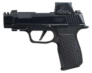Sig Sauer P365 AXG LUXE w/Optic 380 ACP 3.10" 12+1 Semi-Auto Pistol